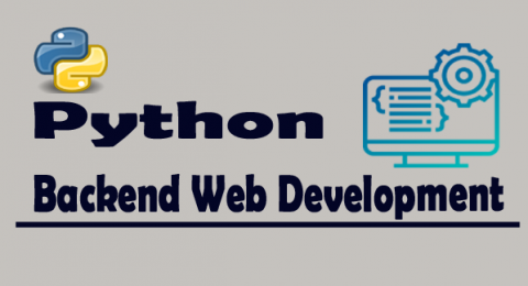 Python for Backend Web Development copy