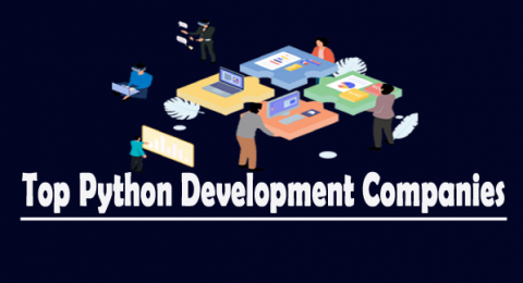Top Python Development Companies copy