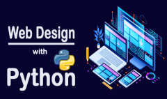 web design using python copy