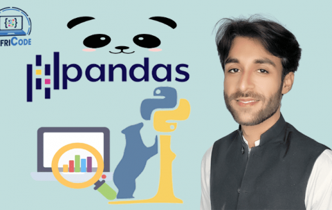 pandas data analysis with python copy
